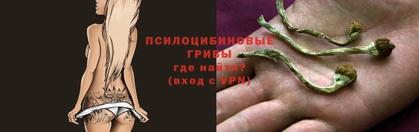 apvp Мегион