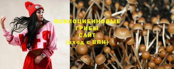 каннабис Медвежьегорск